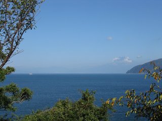 IMG_1385.jpg